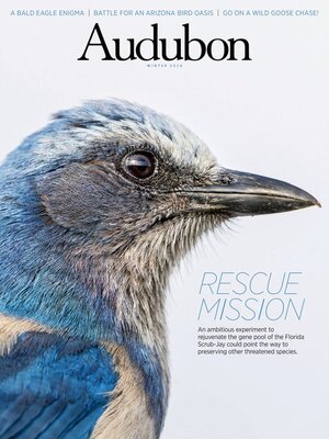 cover image of Audubon Magazine